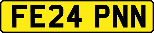 FE24PNN