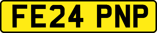 FE24PNP
