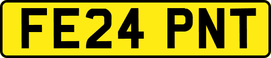 FE24PNT