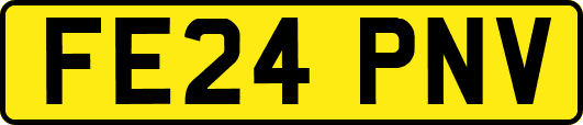 FE24PNV