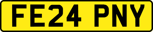 FE24PNY