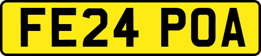 FE24POA