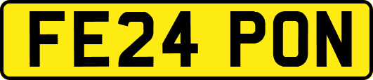FE24PON