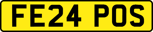 FE24POS