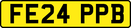 FE24PPB