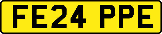 FE24PPE