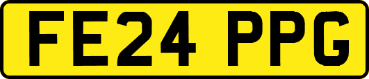 FE24PPG