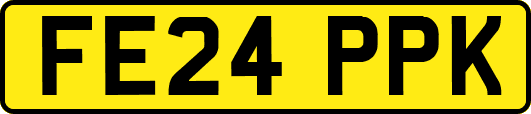 FE24PPK