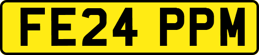 FE24PPM