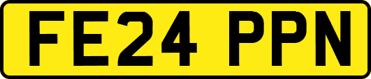 FE24PPN