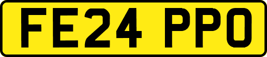 FE24PPO