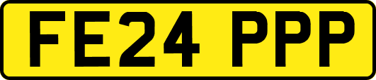 FE24PPP
