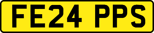 FE24PPS