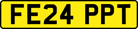 FE24PPT