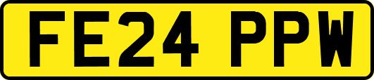 FE24PPW