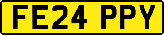 FE24PPY