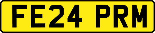 FE24PRM