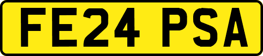FE24PSA