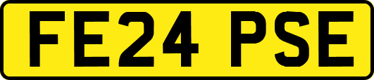 FE24PSE