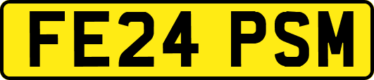 FE24PSM