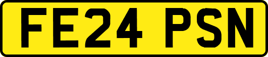 FE24PSN