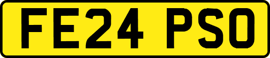 FE24PSO