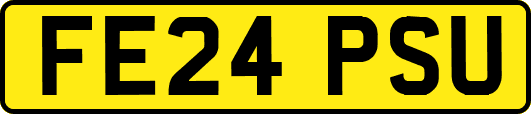 FE24PSU