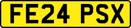 FE24PSX