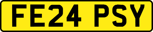 FE24PSY