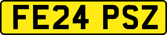 FE24PSZ