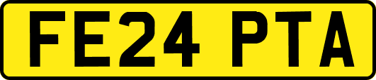 FE24PTA