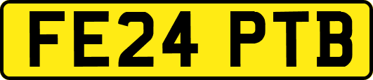 FE24PTB