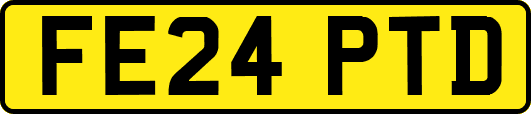 FE24PTD