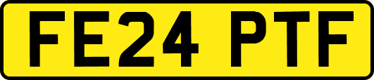 FE24PTF