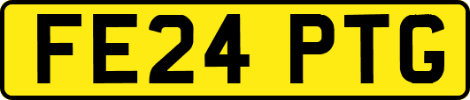 FE24PTG