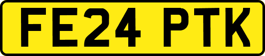 FE24PTK
