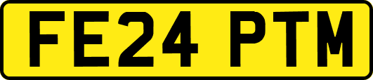 FE24PTM