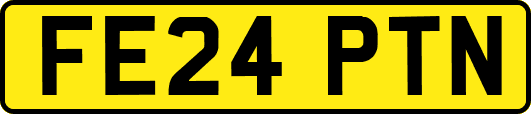FE24PTN