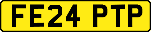FE24PTP