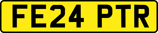 FE24PTR