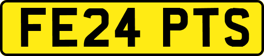 FE24PTS