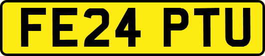 FE24PTU