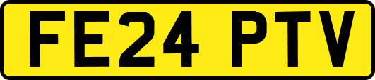 FE24PTV