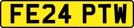 FE24PTW
