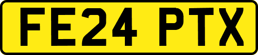 FE24PTX