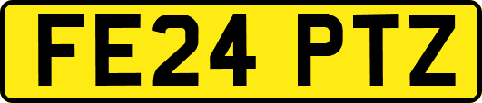 FE24PTZ