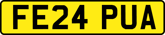 FE24PUA