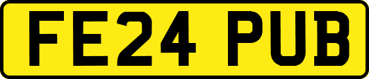 FE24PUB