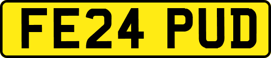 FE24PUD