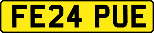 FE24PUE
